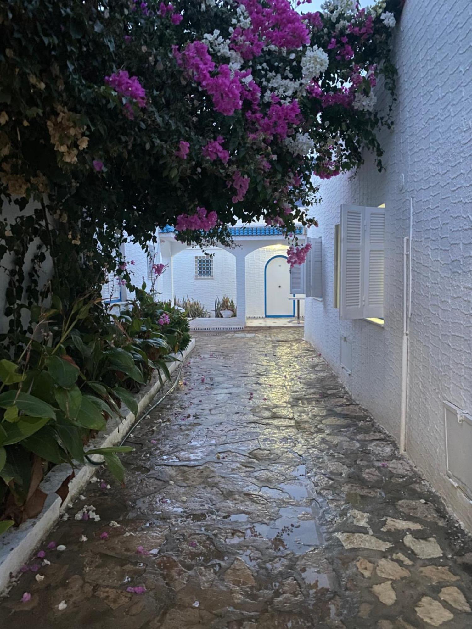 Bungalow El Houda Apartment Hammamet Exterior photo